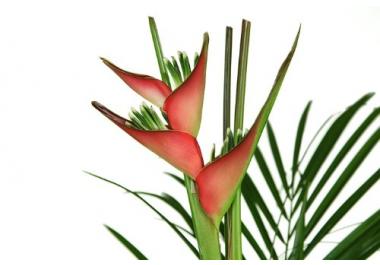 exotische Blumensträuße